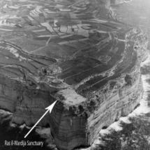 1960s or early 70s aerial photograph of the terraced Ras il-Wardija promontory, with Xlendi top right. Photo- National Archives, Gozo