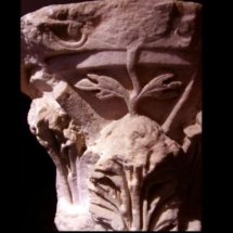 Capital (head) of column at Domvs Romana showing fine stone-carving skills