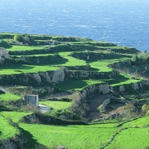 The Arabs introduced new agricultural systems in Malta, including irrigation and terraced fields