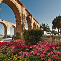 Nature from the Upper Barrakka Gardens - Photo by Simon Reddy