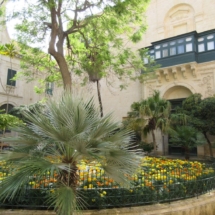 Vegetations in one courtyard of the Grand Master&#039;s Palace