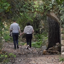 Buskett Gardens, avec leurs arbres et leurs chemins anciens, sont parfaits pour une randonnée tranquille dans les bois