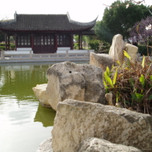 Jardin chinois de la sérénité - Image de William Shewring