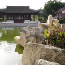 Chinese Garden of Serenity - Photo by William Shewring