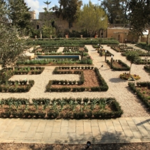 Les jardins du président - Photo de Frank Vincentz