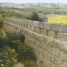 The short stretch of musketry loopholes still extant with the reconstructed loopholes next to them, in the vicinity of Fort Mosta. Photo Ray Cachia Zammit